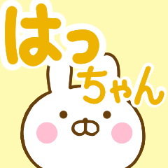 Rabbit Usahina hachan