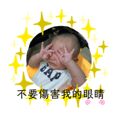 豬家表情包一