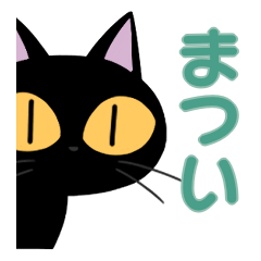 Matsui&Black cat