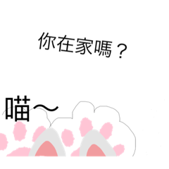 小貓咪好可愛哦！