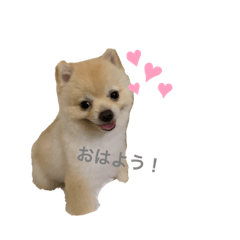 rika_20190709194607