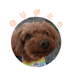Moka_8th birthday