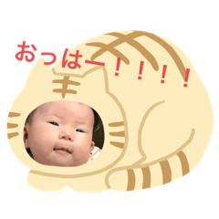 Minorin_20190709211715