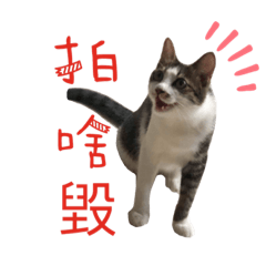 搞怪一下❤️