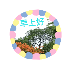 梅姐自畫