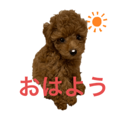 KAZUE_20190709174055
