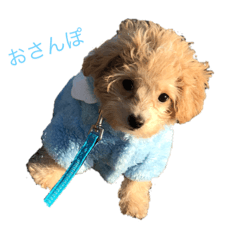 Riku_20190709223440