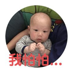 柳小梨4
