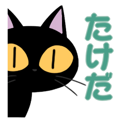 Takeda&Black cat