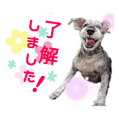 Kanako_20190709210420