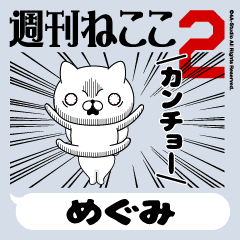 Move "MEGUMI" name sticker 2