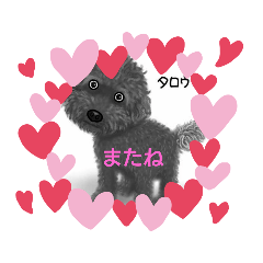 taro_20190704171636