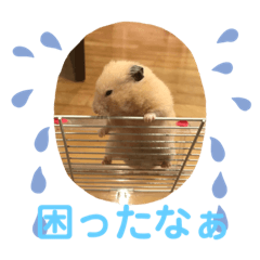 Sun_20190709184600