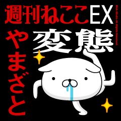 "YAMAZATO" name / transformation feature