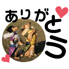 momotan&yuzutan