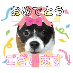 Sherry_20190710014341