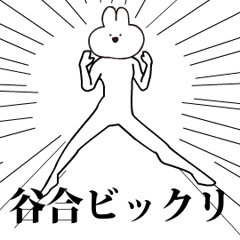 Rabbit Name taniai.moves!