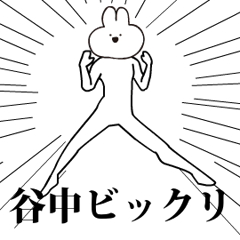 Rabbit Name yanaka taninaka.moves!