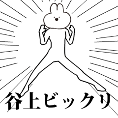 Rabbit Name tanigami.moves!