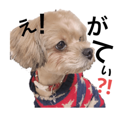 chihiro_20190710031443