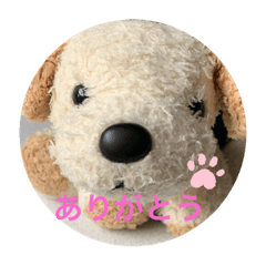nuigurumi mame chan no nichijyo 20190705