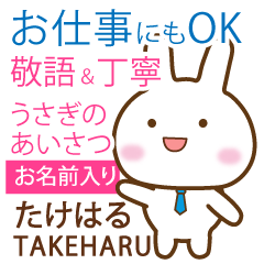 TAKEHARU: Rabbit.Polite greetings