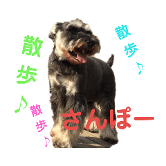 JASMINE_20190710145402