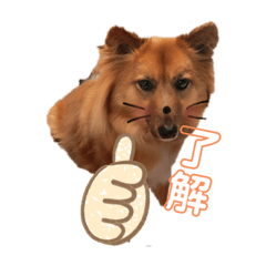 yun_20190710135246