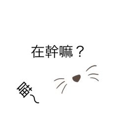 可愛小貓咪（好可愛哦～）