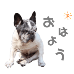 REI_20190710172728
