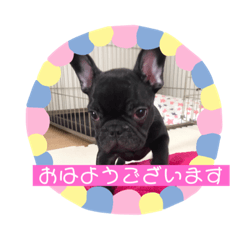 mikko_20190710194821