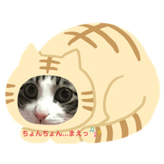 kuu_20190707