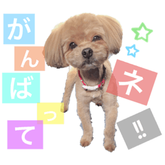 chihiro_20190710214357