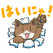 Move! Breaking Cat