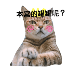 厭世胖咪