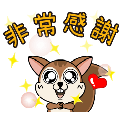 Touch Touch Squirrel-Animated stickers
