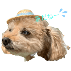 kaede_20190710164040