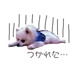 ann_20190710221922