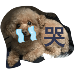 憨吉很無聊