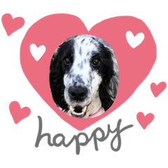 Sally_20190710225717