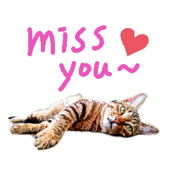 The daily life of the king