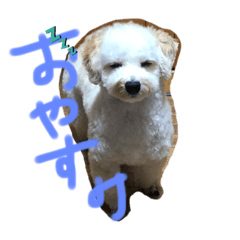 MIZUKI_20190710224616