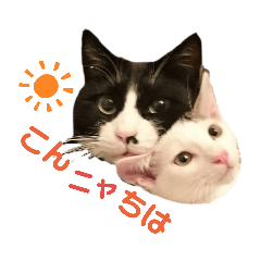 junjun_20190710225138