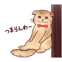 tyanksjcty