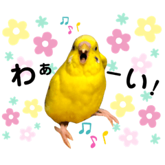 mochi_20190711033458