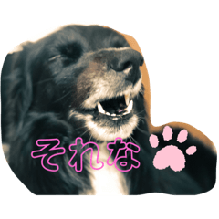 rika_20190711033212