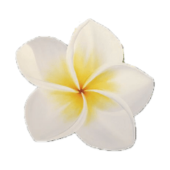 nutssuta