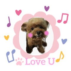 寶貝女兒❤️小天使Meimei