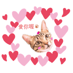 Bagel20180314