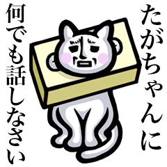 Stray cat!! Tagachan